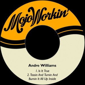 收聽Andre Williams的Is It True歌詞歌曲