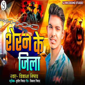 Listen to Sheran Ke Jila song with lyrics from Vikash Nishad