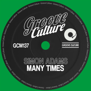 Dengarkan Many Times (Extended Mix) lagu dari Simon Adams dengan lirik