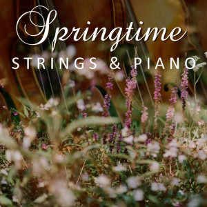 Album Springtime Strings & Piano from Various