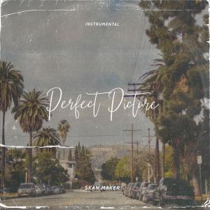 收聽Skan Maker的Perfect Picture (Instrumental)歌詞歌曲