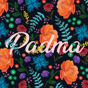 Listen to Neeye song with lyrics from Padma