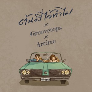 อัลบัม groovetops ศิลปิน ต้นมีไว้ทำไม