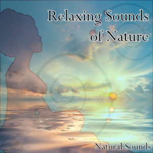 收聽Natural Sounds的Tibetan Healing Sounds歌詞歌曲
