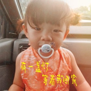 Album 有一盏灯等着我回家 from 