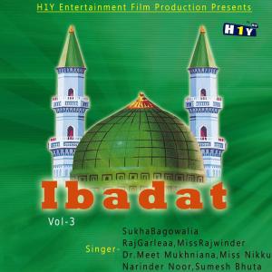 Listen to Sai Naam song with lyrics from Narinder Noor