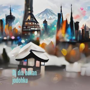 I Putu Ema的专辑Dj Dia Bukan Jodohku