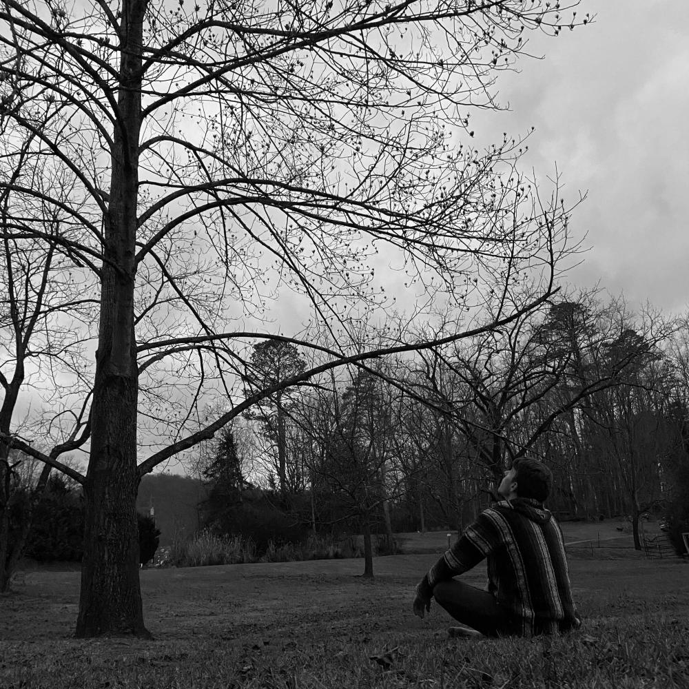 Branches