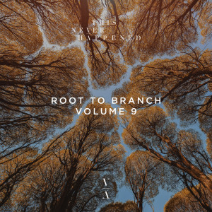 Rob Hes的專輯Root to Branch, Vol. 9