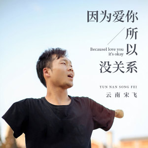 收聽雲南宋飛的因爲愛你所以沒關係 (電音版)歌詞歌曲