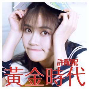 ดาวน์โหลดและฟังเพลง 黄金时代 (DJ团团版) พร้อมเนื้อเพลงจาก 许配配