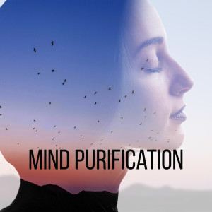 Mind Purification (Meditation to Remove Negative Thoughts)