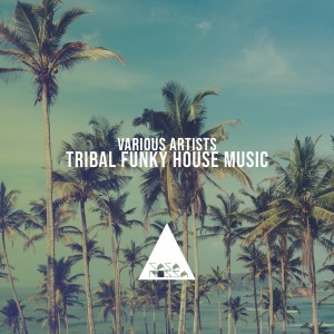 Various Artists的專輯Tribal Funky House