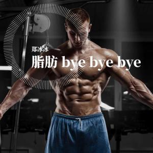Album Zhi Fang Bye Bye Bye from 郑冰冰