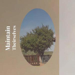 Listen to Without Certainty song with lyrics from Abdut