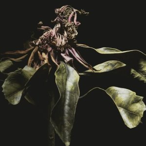 Listen to Am I Daydreaming? song with lyrics from Maniac