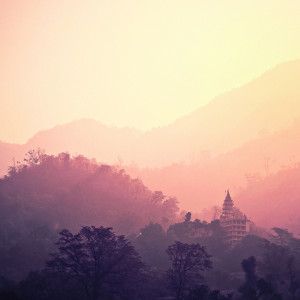 Listen to Japanese Tree song with lyrics from SPA