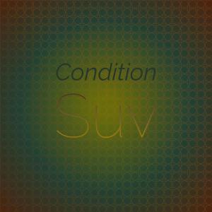 อัลบัม Condition Suv ศิลปิน Various