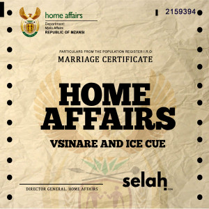 vsinare的專輯Home Affairs