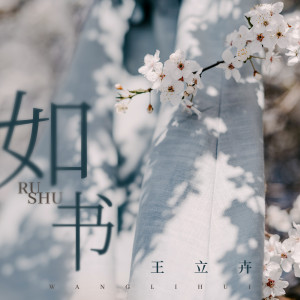 ดาวน์โหลดและฟังเพลง 如书 พร้อมเนื้อเพลงจาก 王立卉