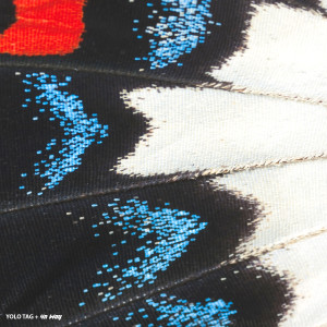 ดาวน์โหลดและฟังเพลง Ты мне подходишь (Explicit) พร้อมเนื้อเพลงจาก YOLO TAG