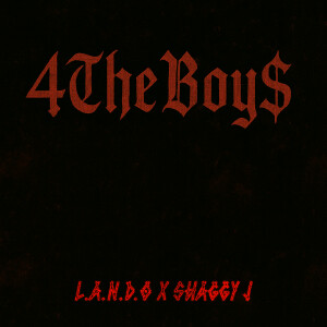 Album 4theboy$ (Explicit) from L.A.N.D.O