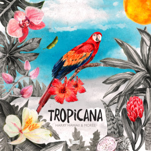 Listen to Tropicana song with lyrics from Harry Hawaii