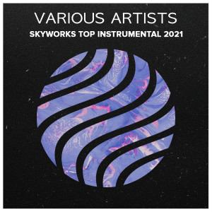 Various Artists的專輯Va Skyworks Top Instrumental (Explicit)