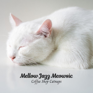 Soft Winter Jazz的专辑Mellow Jazz Meowsic: Coffee Shop Catnaps