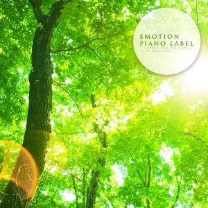 Listen to Warmth In Your Mind Nature Version (Nature Ver.) song with lyrics from 글레이시아