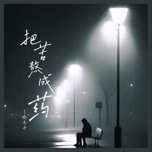Album 把苦熬成药(我把人生的苦熬成药) oleh 杨丹丹