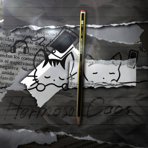 收聽Angel的Meraki (feat. V.zacci)歌詞歌曲