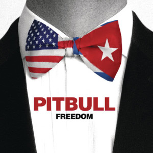 收聽Pitbull的Freedom歌詞歌曲
