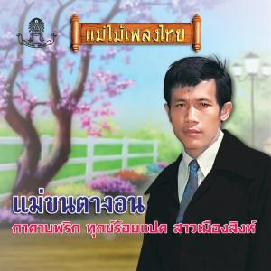 Dengarkan lagu แม่ขนตางอน nyanyian ชาย เมืองสิงห์ dengan lirik