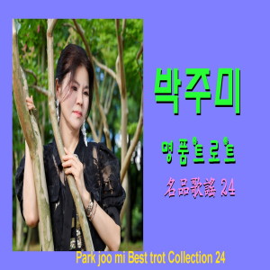 Listen to 찔레꽃 song with lyrics from 박주미