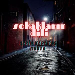 Listen to Sokakların Dili song with lyrics from Serin Karataş