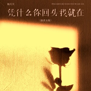Album 凭什么你回头我就在（温柔女版） from 杨天天