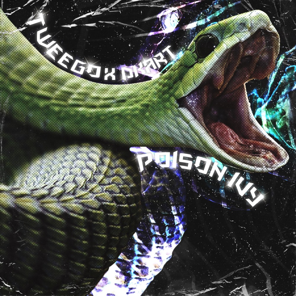 Poison Ivy (Prod. by Icy Keed)