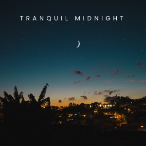 อัลบัม Tranquil Midnight (Ambient music for meditation) ศิลปิน Meditation & Focus Workshop