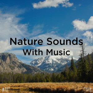 Dengarkan Relaxing Spa Music lagu dari Yoga dengan lirik
