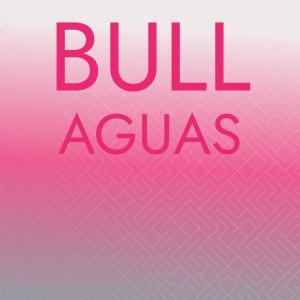 Listen to Bull Aguas song with lyrics from Marl Clin