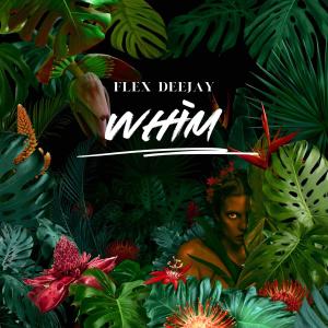 Flex Deejay的專輯Whim