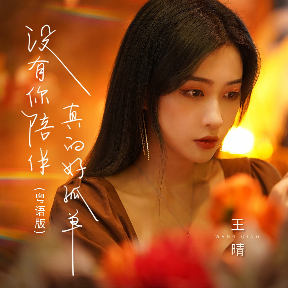 没有你陪伴真的好孤单 (粤语DJ版)