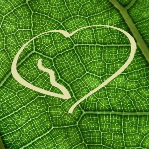 收聽Nils M/ Skils的Tidsmaskina歌詞歌曲