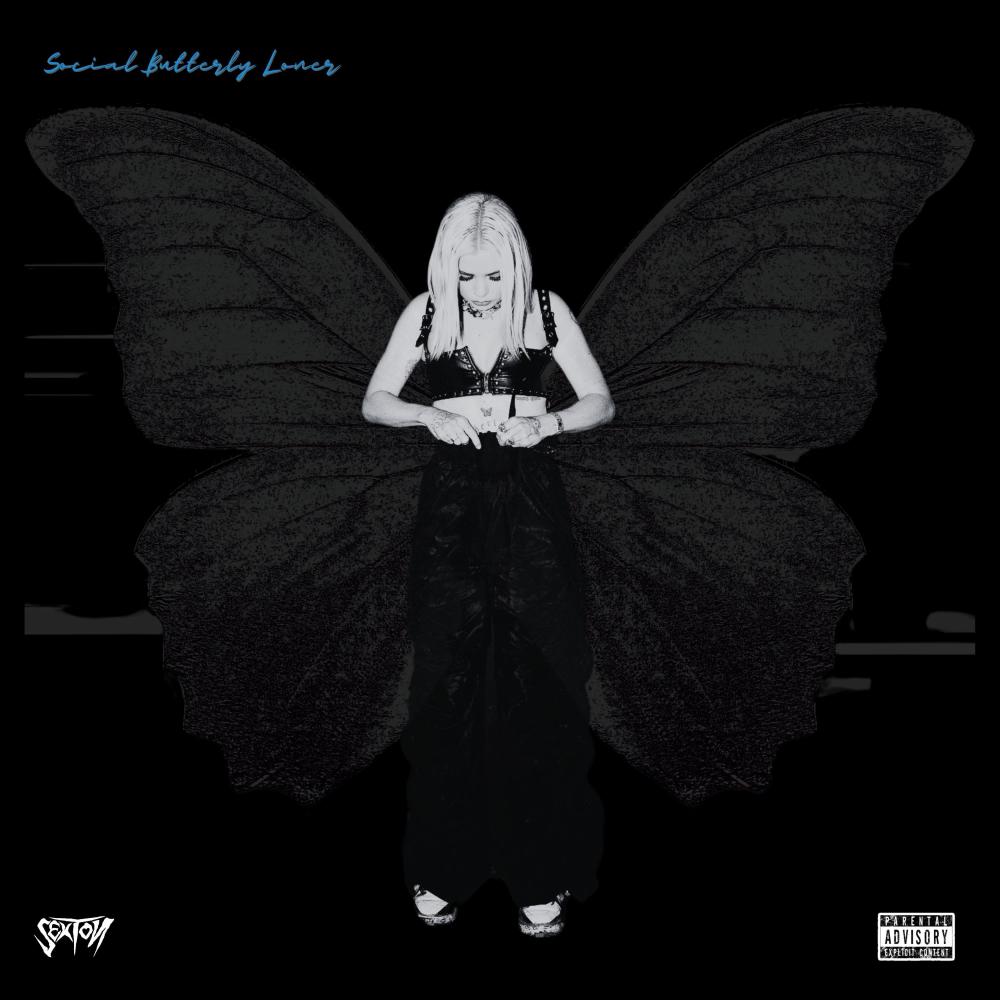 Social butterfly loner