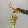 default album img