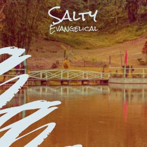 Various的专辑Salty Evangelical