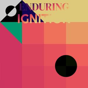 Various Artists的專輯Enduring Ignition