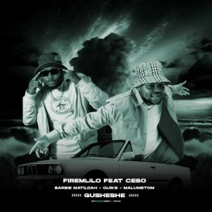 Album Gusheshe from FireMlilo
