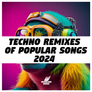 Album Techno Remixes of Popular Songs 2024 oleh The Hat Girl